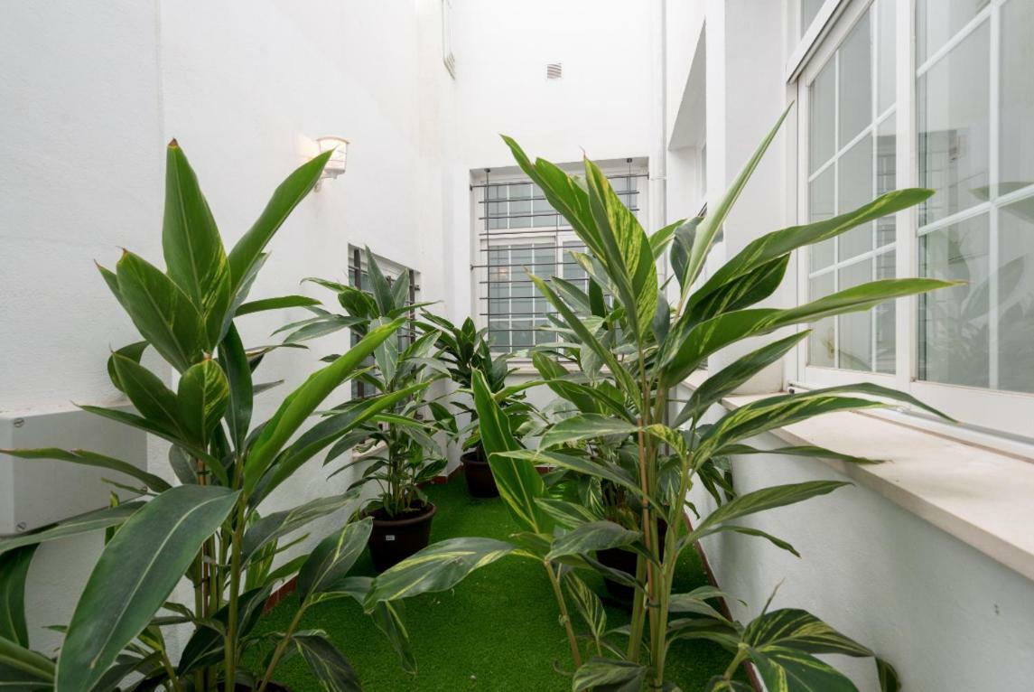 مالقة Ml1C-Prime Location Marble Apartment With Patios المظهر الخارجي الصورة